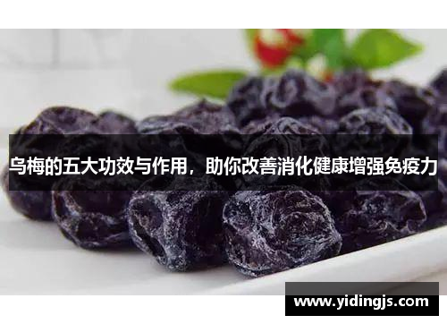 乌梅的五大功效与作用，助你改善消化健康增强免疫力