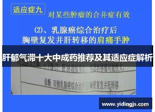 肝郁气滞十大中成药推荐及其适应症解析