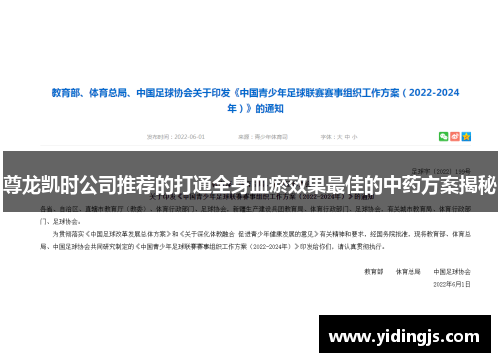 尊龙凯时公司推荐的打通全身血瘀效果最佳的中药方案揭秘