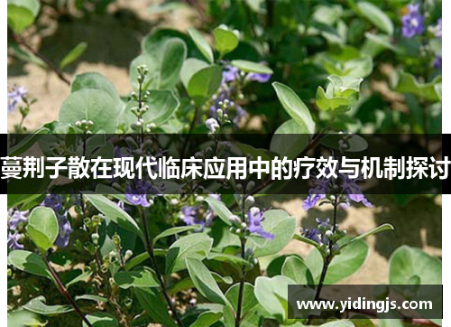蔓荆子散在现代临床应用中的疗效与机制探讨