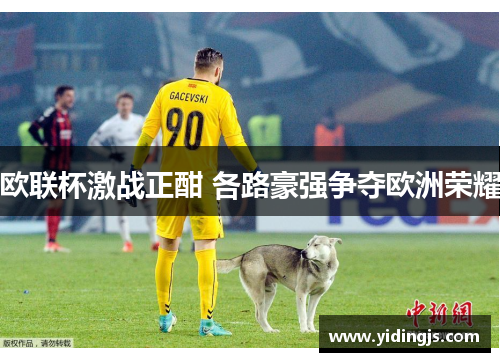 欧联杯激战正酣 各路豪强争夺欧洲荣耀